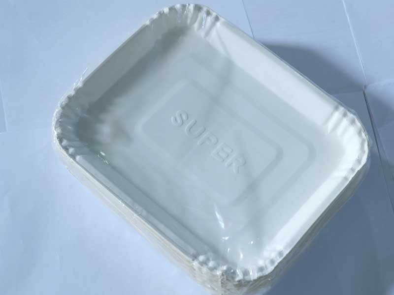 JUST IN CASE Disposable Bio paper plates