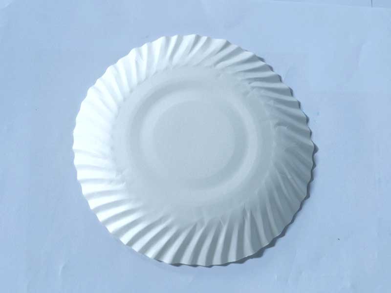 JUST IN CASE Round Disposable Bio Paper Plates