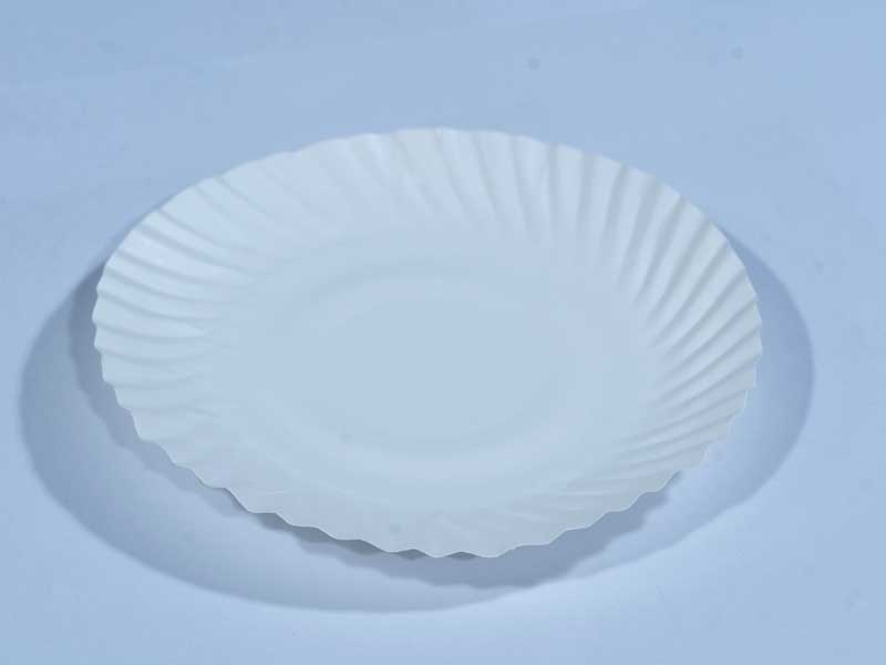 JUST IN CASE Round Disposable Bio Paper Plates