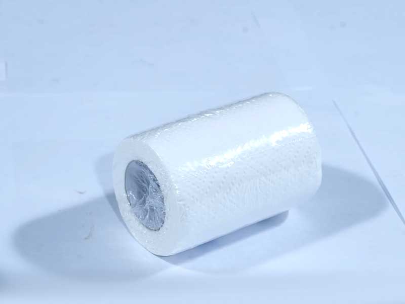 JUST IN CASEtoilet Tissue Rolls, 100 Pulls