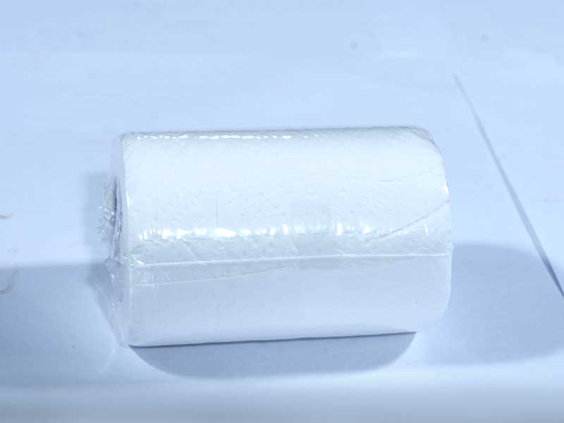 JUST IN CASEtoilet Tissue Rolls, 100 Pulls