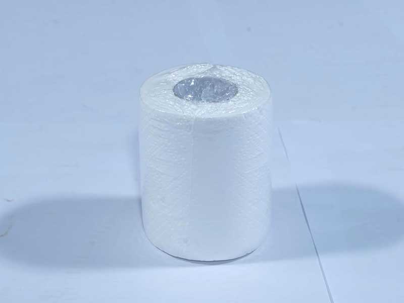 JUST IN CASEtoilet Tissue Rolls, 200 Pulls