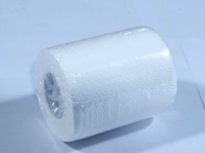 JUST IN CASEtoilet Tissue Rolls, 200 Pulls