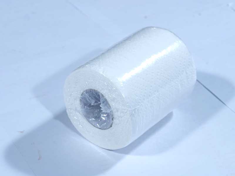 JUST IN CASEtoilet Tissue Rolls, 200 Pulls