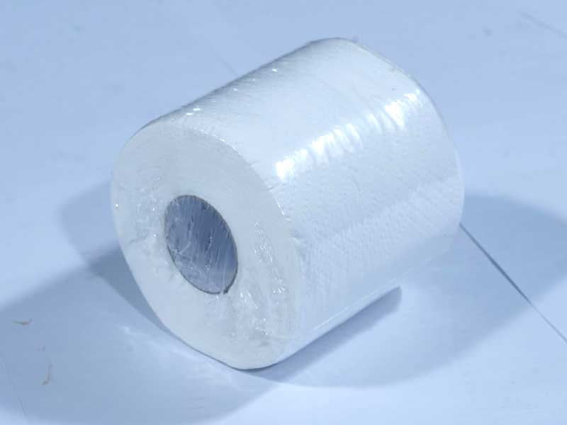 JUST IN CASEtoilet Tissue Rolls, 300 Pulls