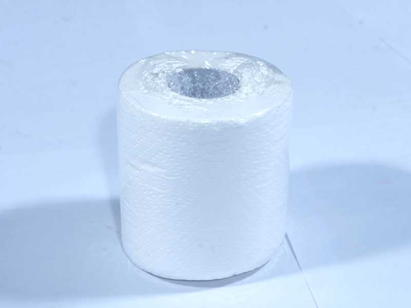 JUST IN CASEtoilet Tissue Rolls, 300 Pulls